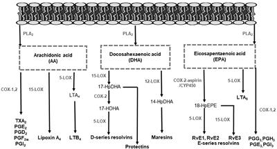 The Manipulation of the Lipid Mediator Metabolism as Adjunct Host-Directed Therapy in Tuberculosis